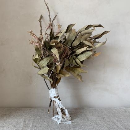 dry bouquet of Castanea sativa Mill and Amaryllis belladonna L..