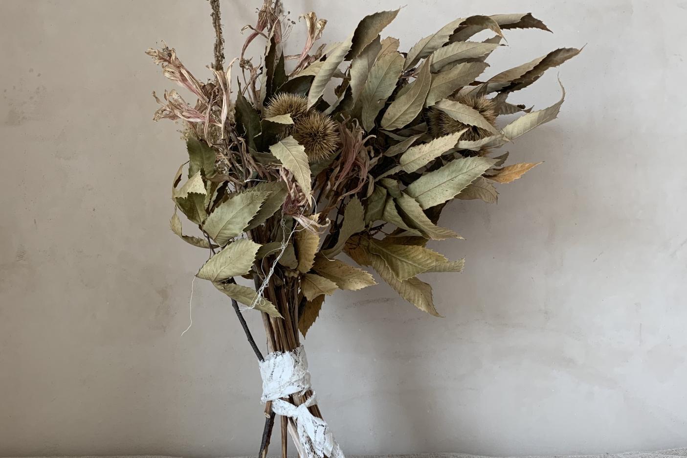 dry bouquet of Castanea sativa Mill and Amaryllis belladonna L..